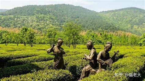 旺山是什么意思|苏州旺山景区：茶香禅韵已传承1000年了